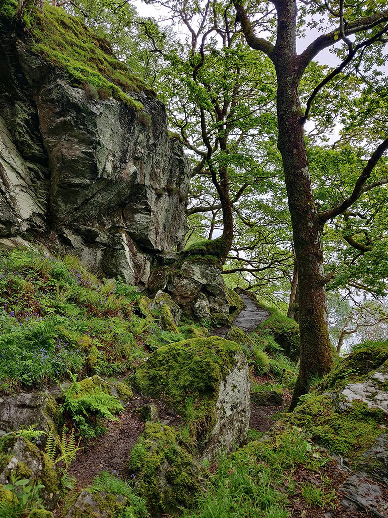 Bild von unterwegs auf dem West Highland Way